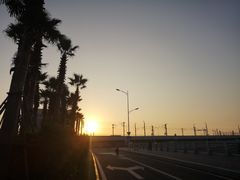 -海堤纪念公园