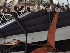 -湖南省地质博物馆