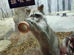 -大连圣亚海洋世界