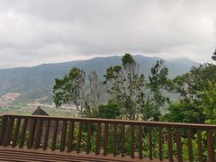-三亚亚龙湾人间天堂鸟巢度假村