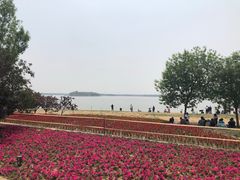 -武清南湖绿博园
