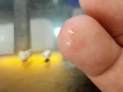 -顺客福(震泽路店)