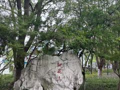 -金鸡湖桃花岛