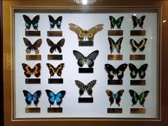 -上海昆虫博物馆