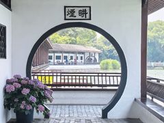 -无锡蠡湖国家湿地公园-蠡园