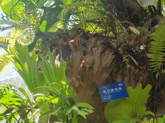 -国家植物园南园