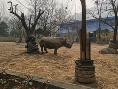 -西安秦岭野生动物园