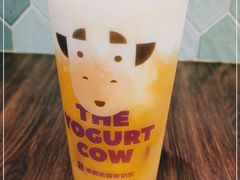 -一只酸奶牛(益州国际店)