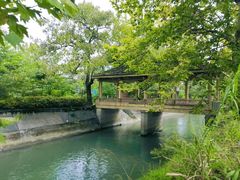 -夏河溪乡野公园
