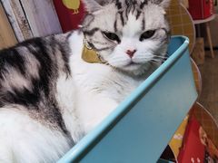 -小时光咖啡馆(开森度假森林店)