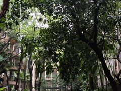 -平安（深圳）金融教育培训中心