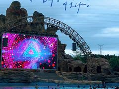 -美的鹭湖探索王国