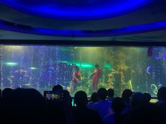 -大明湖海底世界