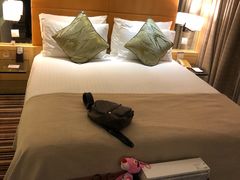 -上海新锦江大酒店