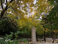 -元大都城垣遗址公园