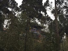 -景山公园