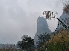 -明仕田园