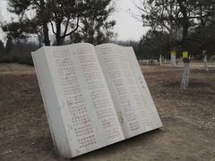 -太阳宫公园