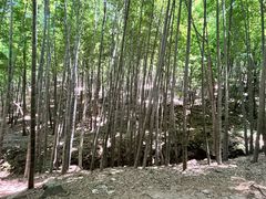 -穹窿山景区