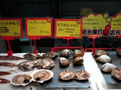 -蚝专家(北滘店)