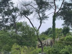 -宁波野生动物园