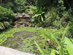 -中国科学院西双版纳热带植物园