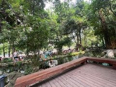 -成都市活水公园
