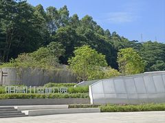 -阳台山森林公园