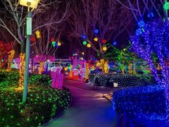 -南宫五洲植物乐园