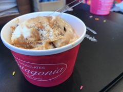 冰淇淋-Patagonia Chocolates(皇后镇店)