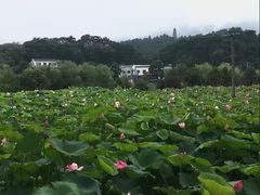 -韶山毛泽东同志故居