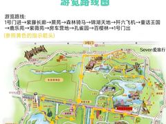 -东平国家森林公园