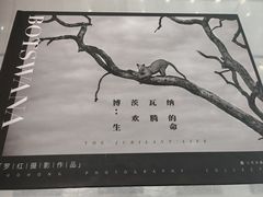 -罗红摄影艺术馆