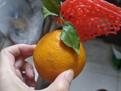 -醉炫音速烧烤(沙河总店)