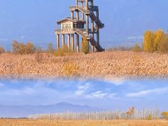 -野鸭湖国家湿地公园