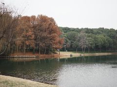 -尚贤河湿地