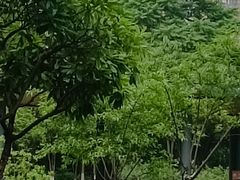-月湖风景区