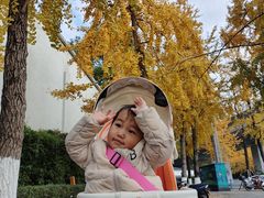 -高庙村(地铁站)