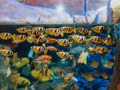 -成都浩海立方海洋公园