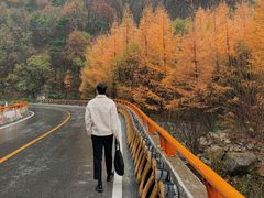 -秦岭风景区