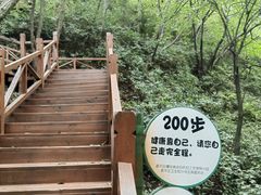 -大岭沟猕猴桃谷风景区