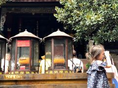 -峨眉山报国寺