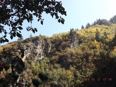 老爷山山坡秋景-老爷山风景区
