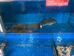-顶之鲜海鲜餐厅