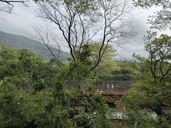 -七仙岭君澜度假酒店·桃源小馆中餐厅