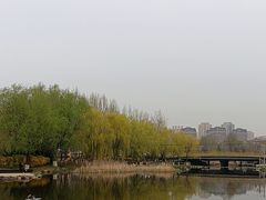 -前关湿地公园