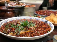 民国霸王兔-杨记隆府(白象街店)