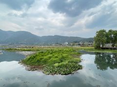 -腾冲北海湿地