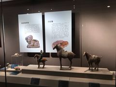 -西安大唐西市博物馆