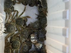 -乡乐园蟹庄·阳澄湖农家乐